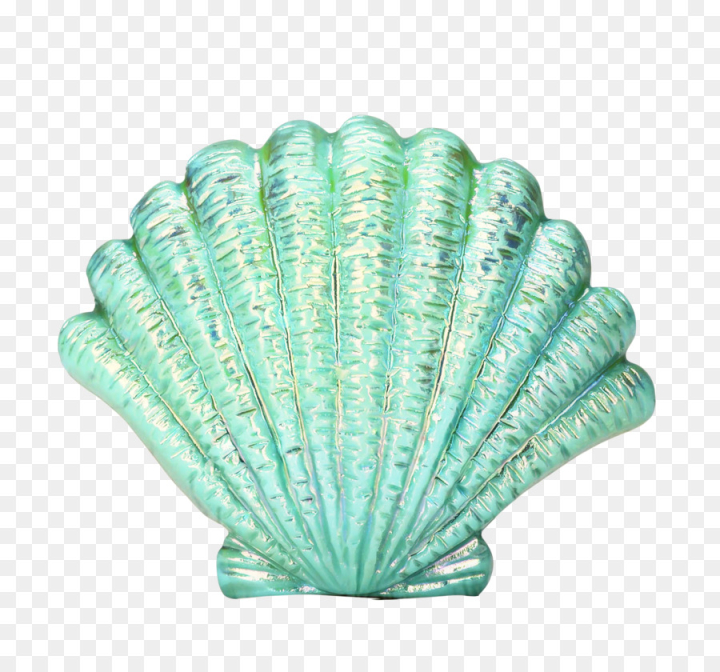 seashell,lip balm,npw mermazing mermaid lip balm duo npw54781,shell transparent,lips,conch,mermaid,download,mollusca,green,turquoise,aqua,leaf,glass,fashion accessory,scallop,shell,png