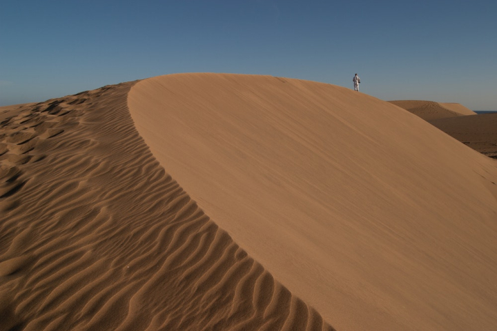 adventure,alone,arid,barren,desert,drought,dry,dune,sand,sand dunes
