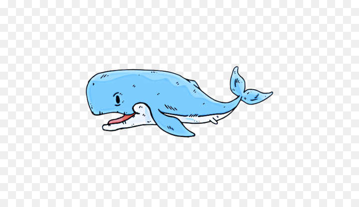 marine mammal,cetacea,bottlenose dolphin,whale,dolphin,sperm whale,animal figure,bowhead,blue whale,humpback whale,png