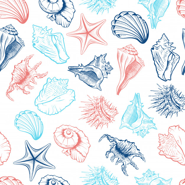 invertebrate,cockleshell,mollusk,urchin,nautilus,aquatic,conch,wrapping,contour,freehand,scallop,linear,exotic,seashells,wildlife,engraving,seashell,starfish,drawn,tile,seamless,marker,marine,underwater,shell,life,vacation,spiral,drawing,ink,pen,shape,white,tropical,colorful,graphic,brush,hand drawn,red,animal,fish,sea,blue,line,paper,summer,hand,star,vintage,pattern