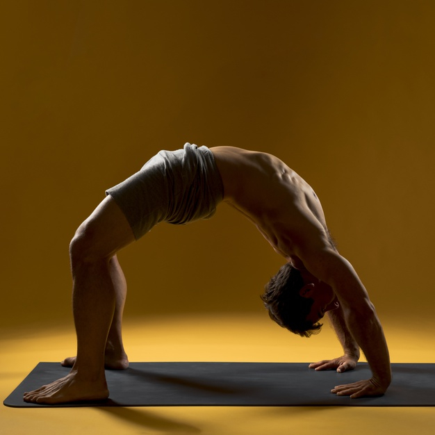 Yoga Standing Bow Pulling Pose Stock Photo - Image of length, fitness:  24331186