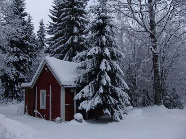 winter,snow,cottage,trees,finland,riihimaki