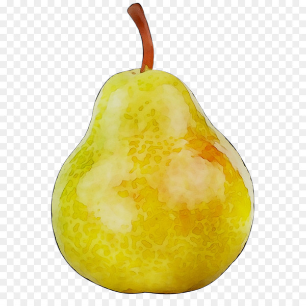 pear,accessory fruit,fruit,fahrenheit,tree,natural foods,plant,food,woody plant,png
