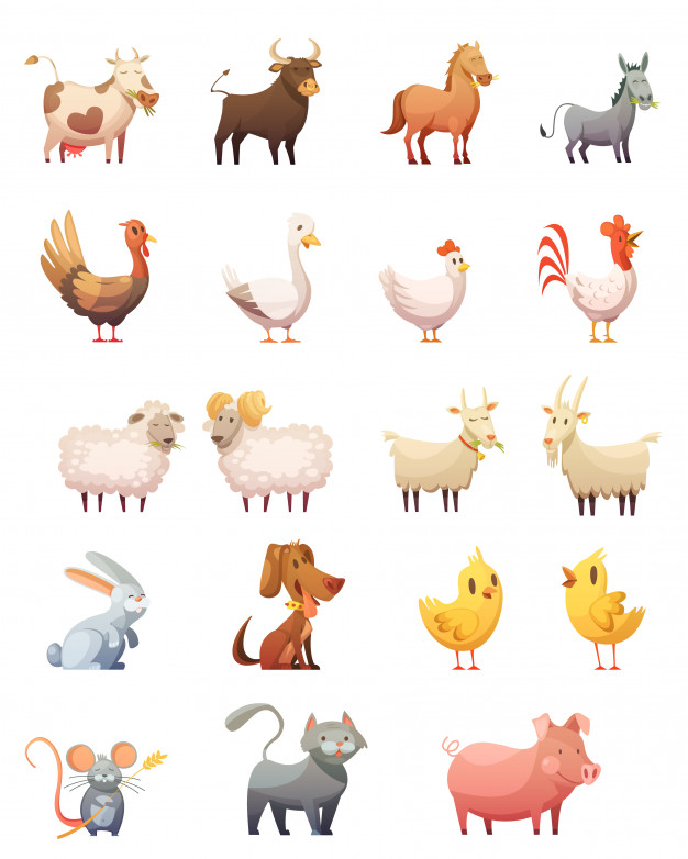 gobbler,swine,fowl,barnyard,fauna,hog,zoology,domestic,calf,isolated,livestock,poultry,cattle,set,countryside,ram,collection,object,donkey,farming,hen,veterinary,cock,bunny,duck,goat,symbol,decorative,emblem,rooster,agriculture,illustration,sheep,rabbit,pig,pet,flat,cow,horse,animals,icons,chicken,farm,cat,animal,cartoon,nature,dog
