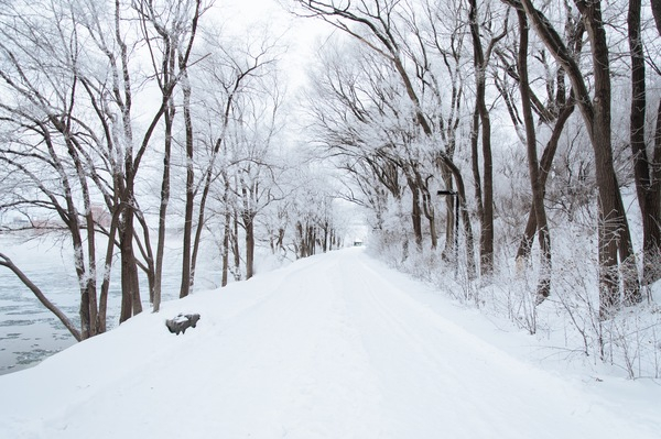 winter,snow,cold,road,trail,trees,branches,outdoors,christmas