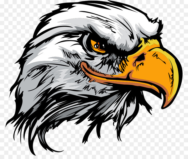 bald eagle,eagle,logo,royaltyfree,drawing,golden eagle,line art,silhouette,wildlife,snout,art,wing,carnivoran,vertebrate,bird of prey,fictional character,beak,fauna,bird,png