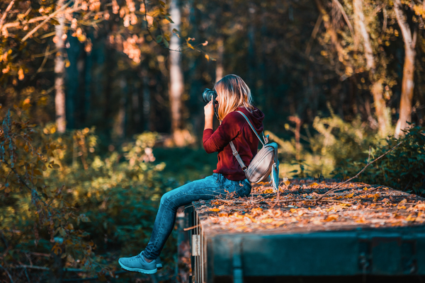 adult,backpacker,blur,camera,daylight,dry leaves,fall,forest,girl,happiness,hobby,landscape,leisure,lifestyle,nature,outdoors,park,person,photo,photographer,portrait,recreation,sit,sitting,sunlight,taking picture,trees,wear,woman,woods,work,young,Free Stock Photo