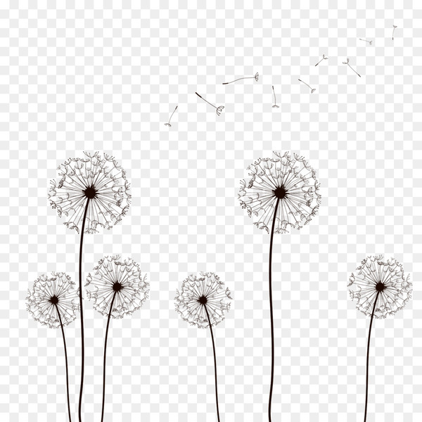 drawing,desktop wallpaper,picsart photo studio,photography,download,common dandelion,dandelion,flower,plant,png