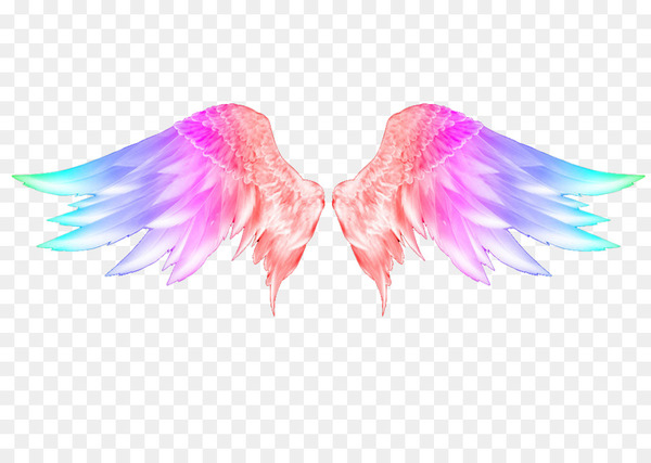 snowflake art,wing,feather,angel wing,android,deviantart,photography,camera,animation,pink,symmetry,graphic design,computer wallpaper,line,magenta,png