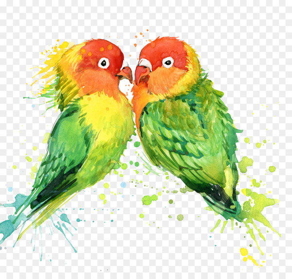 lovebird,parrot,bird,tshirt,watercolor painting,painting,stock photography,art,royaltyfree,abstract art,silhouette,macaw,lorikeet,perico,parakeet,common pet parakeet,beak,fauna,feather,organism,png