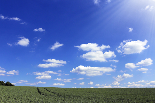 blue,sky,clouds,sunshine,grass,green,fields
