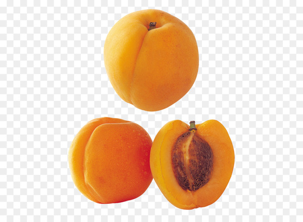 apricot,peach,nectarine,vegetarian cuisine,fruit,almond,food,saturn peach,armenian plum,stone fruits,orange,natural foods,superfood,diospyros,vegetarian food,winter squash,png