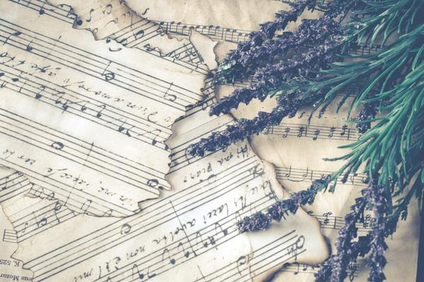 sheet music,vintage,lavender,plant,herb,nature,music,torn,ripped,paper
