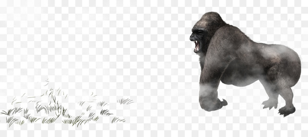 gorilla,common chimpanzee,orangutan,encapsulated postscript,download,dog breed,chimpanzee,wildlife,monochrome,fur,carnivoran,dog,snout,dog breed group,mammal,dog like mammal,black and white,png