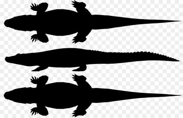 turtle,amphibians,fauna,silhouette,crocodiles,terrestrial animal,animal,reptile,crocodilia,crocodile,amphibian,alligator,png