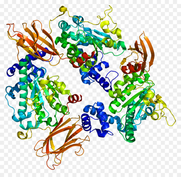 sec14l2,protein,sec14,gene,gene function,human,pymol,sec14like 2 s cerevisiae,tap1,species,wikipedia,line,body jewelry,area,organism,art,png