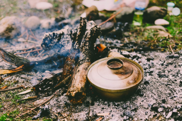 ash,bonfire,burning,burnt,charcoal,close-up,color,cooking,daylight,embers,environment,fire,flame,flammable,flora,food,hot,meal,outdoors,pot,rusty,smoke,wood