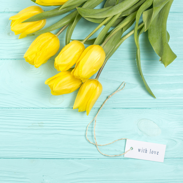 square format,with love,scattered,arrangement,bunch,format,inscription,phrase,composition,bloom,tulips,top view,top,bright,beautiful,view,tulip,blossom,wooden background,word,bouquet,romantic,wooden,message,natural,decoration,plant,present,yellow,white,letter,square,holiday,colorful,text,celebration,spring,table,green,paper,leaf,gift,design,love,floral,flower,background