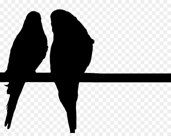 beak,silhouette,line,black m,bird,parrot,wing,png