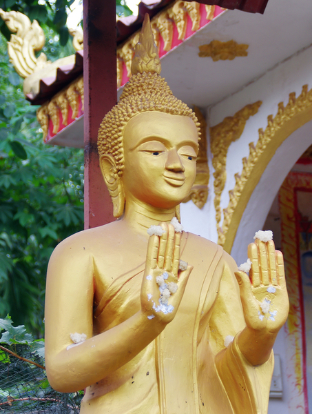 cc0,c1,laos,luang prabang,buddha,temple,religion,buddhism,serenity,free photos,royalty free