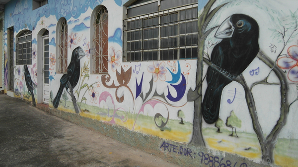 cc0,c1,mural,graffiti,street art,art,wall,bird,brasil,free photos,royalty free