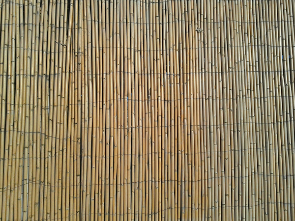 cc0,c1,bamboo,fence,natural,stick,wall,pattern,wood,free photos,royalty free