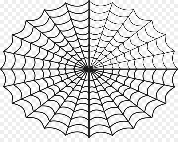 spiderman,spider,spider web,drawing,southern black widow,coloring book,cartoon,tangle web spider,widow spiders,black and white,structure,leaf,plant,symmetry,circle,line,monochrome photography,area,monochrome,material,angle,line art,png