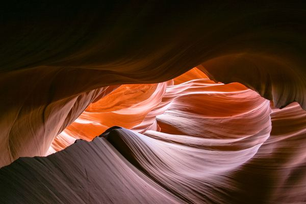 flower,plant,pink,landscape,rock,cloud,abstract,texture,background,rock,pattern,light,dark,shadow,abstract,canyon,nature,outdoors,orange,lines,photoholgic,free stock photos