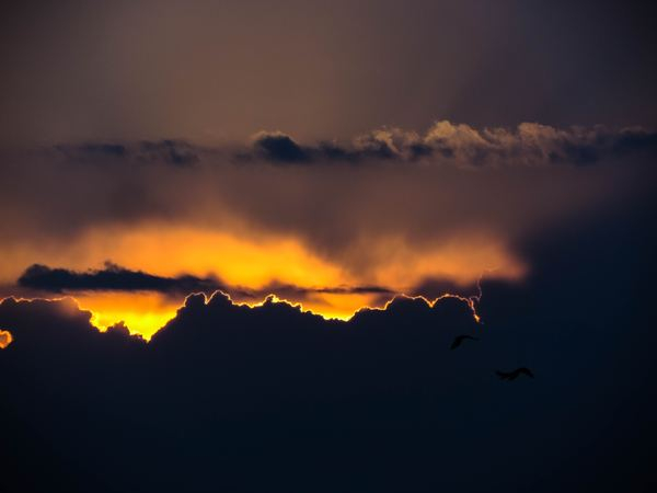 sunset,cloud,moody,texture,sand,cloud,light,night,bokeh,cloudscape,sky,cloud,sunset,golden hour,yellow,orange,glow,dark,moody,outline,silhouette,free images