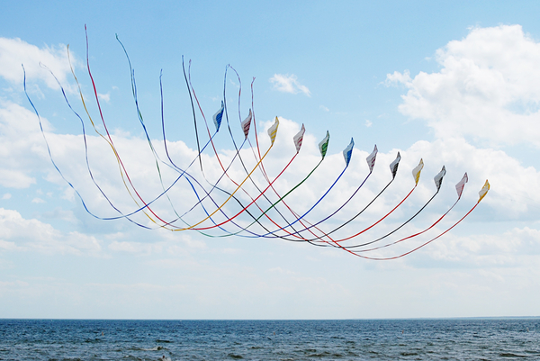 cc0,c1,kites,sky,summer,flying,colorful,activity,free photos,royalty free