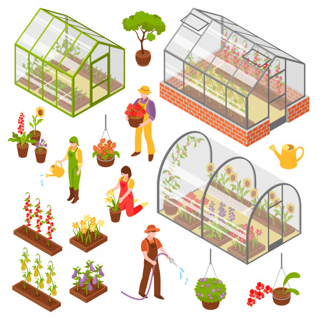 hothouse,cultivated,glasshouse,cultivation,horticulture,botany,greenhouse,crop,growing,rural,set,nursery,collection,farming,gardening,seed,land,tractor,outdoor,field,symbol,decorative,emblem,vegetable,healthy,industry,agriculture,elements,natural,organic,glass,plant,wheat,isometric,garden,3d,icons,landscape,farm,nature,green,summer,icon,house,tree,flower