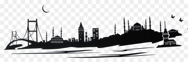 artikel,sticker,wall,wall decal,textile,istanbul,turkey,skyline,city,human settlement,cityscape,blackandwhite,photography,png