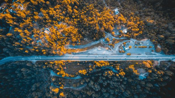 autumn,fall,leafe,cloud,light,forest,wallpaper,green,cloud,road,forest,tree,autumn,nature,drone,highway,yellow,sunset,top down,car,coast,public domain images