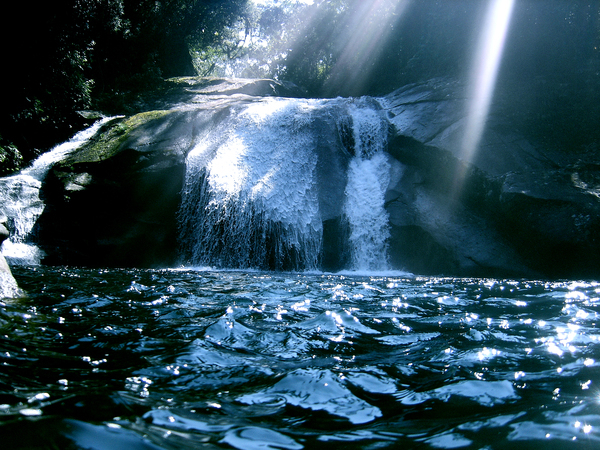water,forest,waterfall,sunlight
