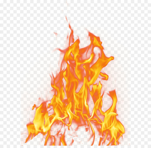 fire,flame,light,fire pit,desktop wallpaper,combustion,explosion,computer icons,propane,photoscape,orange,petal,yellow,png