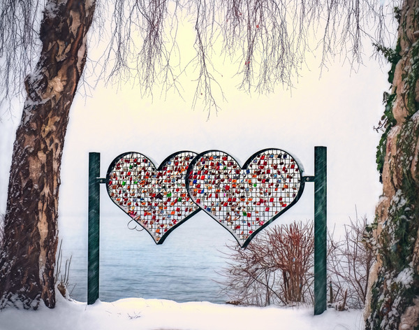 atmosphere,atmospheric,christmas,cold,couple,frost,frosty,frozen,gorgeous,heart,hearts,ice,in love,landscape,love,love locks,mystical,outdoors,romance,romantic,season,snow,trees,valentine&#39;s day,weather,winter,wood,Free Stock Photo