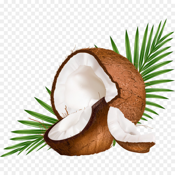 coconut milk,coconut,coconut water,stock photography,arecaceae,superfood,png