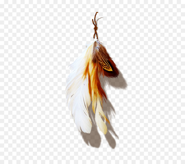 feather,ink,polyvore,quill,internet,pen,photography,no,wing,beak,png