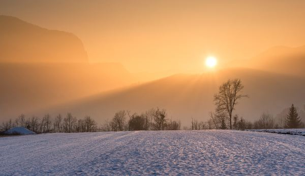 afterglow,background,beautiful,branches,bright,cold,dawn,dusk,environment,foggy,freezing,frosty,frozen,hazy,icy,idyllic,landscape,misty,mountain,murky,outdoors,peaceful,scenery,scenic,season,snow,snowcapped,snowfall,snowy,sun glare,sunlight,sunset,tranquil,trees,weather,winter,woods,Free Stock Photo
