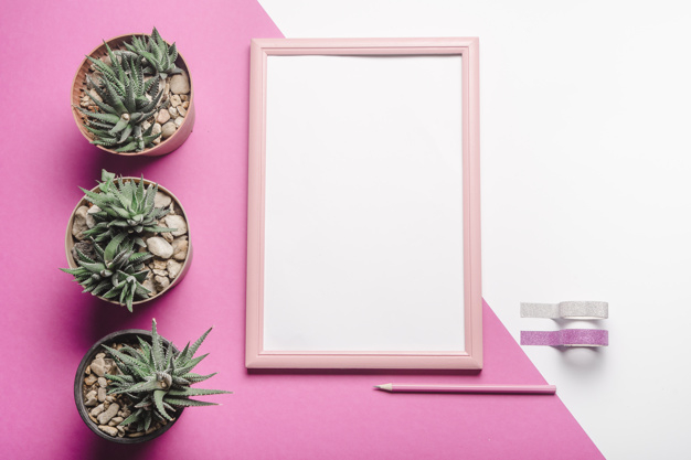 background,pattern,abstract background,frame,abstract,pink,background pattern,white background,pencil,white,pink background,backdrop,ribbons,plant,decoration,cactus,background abstract,tape,growth,life