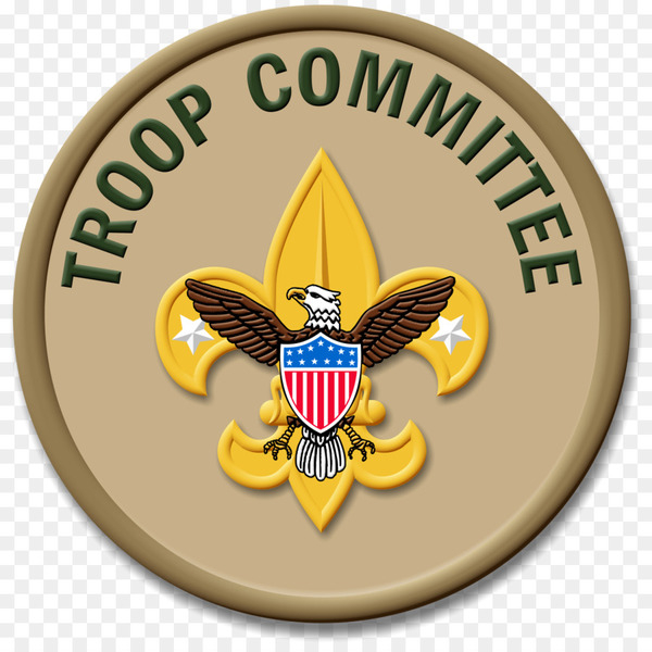 ranks in the boy scouts of america,eagle scout,boy scouts of america,merit badge,scouting,world scout emblem,uniform and insignia of the boy scouts of america,badge,cub scouting,scout badge,court of honor,yellow,emblem,brand,symbol,organization,crest,png