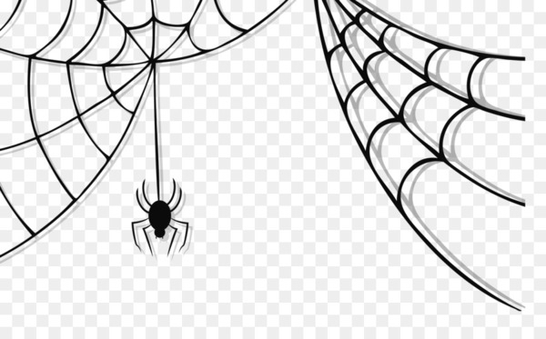 spider,spider web,spiderman,black house spider,free content,blog,cartoon,line art,leaf,symmetry,area,monochrome photography,angle,wing,black and white,branch,monochrome,line,circle,structure,png