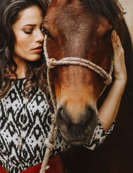 dog,animal,pet,woman,man,girl,person,woman,child,horse,pony,woman,female,portrait,bridle,hand,holding,brown,touch,feel,rope,free stock photos