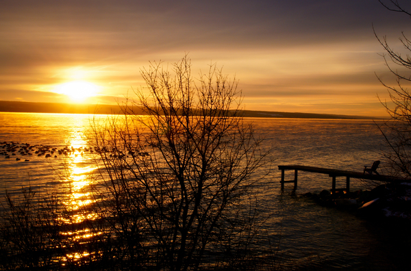 sunset,sky,water,lake,dock,birds,dock,trees