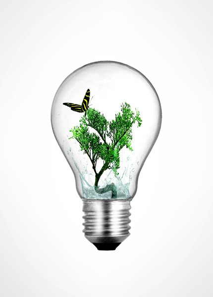 environment,bulb,lightbulb,plant,light,ideas,green,leaf,isolated,lamp,power,environmental,electricity,ecology,technology,seedling,energy,renewable,nature,concept,eco,grow,growth,tree,sprout,savings,small,protection,global,innovation,pollution,kyoto,recycling,symbol,supply,equipment,illustration,solution,inside,sustainable,warming,resource,seed,soil,fertilize,eco friendly,fertilization,flower,dirt,concepts,bonsai,idea,metaphor,butterfly,design,earth,save,conservation,vector,life,recycle,web,planet,conserve,root,background,conceptual,glass,website,electric,natural,white,bio,vegetable,issues,icon,backdrop,thinking,alternative,friendly,ecologic