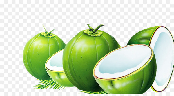 dodol,coconut water,nata de coco,coconut milk,coconut,coconut oil,fruit,food,cooking oil,refining,oil,sweetness,umami,sugar,green,png