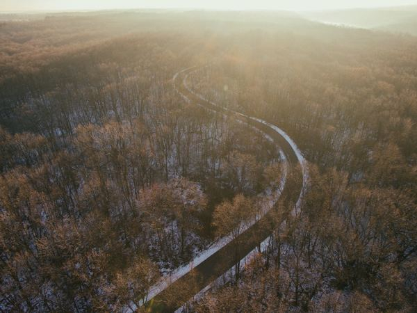 photo,aerial,aerial view,land,path,fall,road,aerial,aerial view,road,forest,path,aerial view,drone view,curvembend,tree,snow,winter,curf,aerial,sunrise
