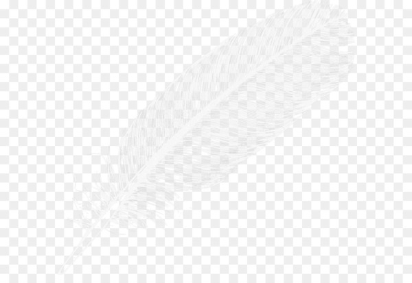 the floating feather,bird,feather,flight feather,arrow,computer icons,dreamcatcher,triangle,square,angle,symmetry,point,monochrome photography,pattern,circle,texture,product design,design,rectangle,monochrome,white,line,black and white,png