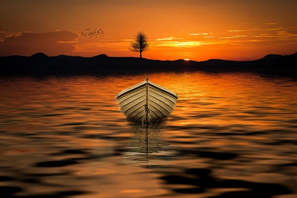 boat,dawn,dusk,lake,reflection,silhouette,sky,sunrise,sunset,tree,water,watercraft,Free Stock Photo