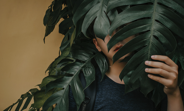 alone,boy,covered,fingers,foliage,guy,hand,hiding,holding,identity,leaves,male,minimalism,minimalist,model,person,photoshoot,tranquility,tropical,Free Stock Photo
